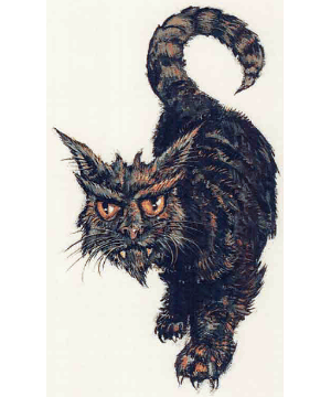 Cat, Great, Cath Shee Cat, Great, Cath Shee