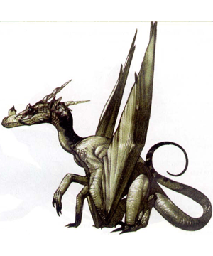 Dragonet, Crows-nest Dragon