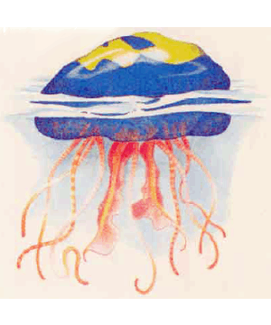 Jellyfish, Giant (Mystara) Jellyfish, Giant (Mystara)