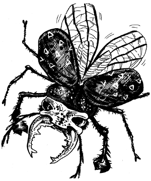 Jishin Mushi Jishin Mushi