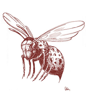 Jibar Pest (Parasite, Savage Coast)