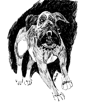 Stalking Death Stalking Death